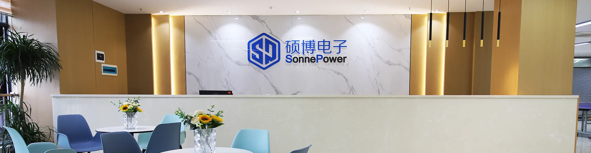 About SonnePower 